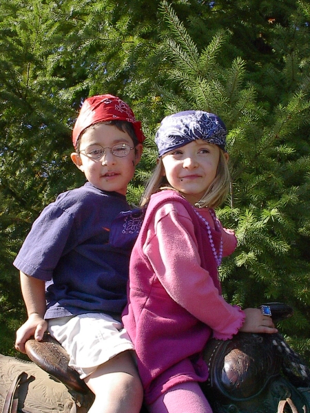 Image has been resized