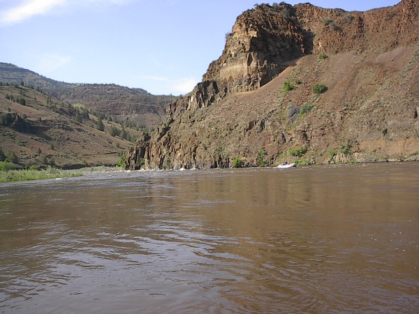 Image has been resized