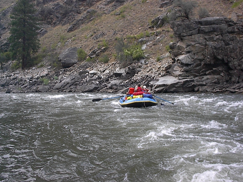 Image has been resized