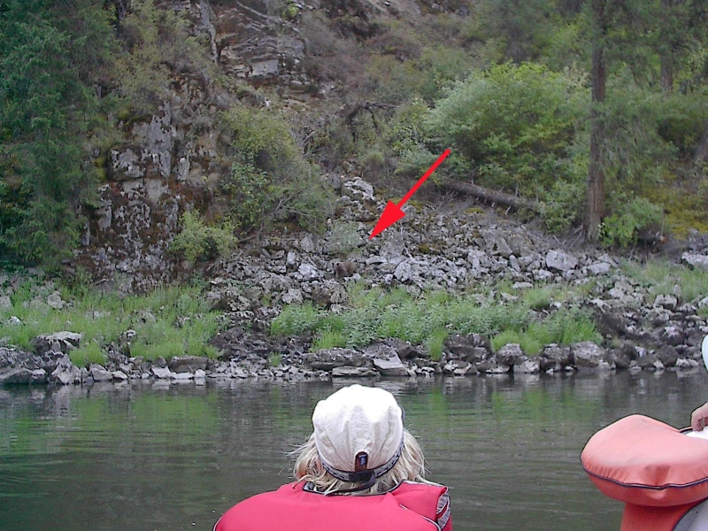 Image has been resized